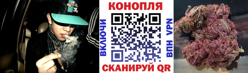 Шишки марихуана White Widow  shop телеграм  Мосальск 